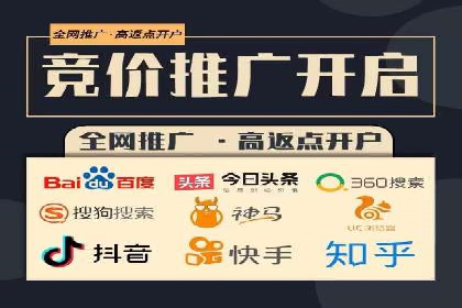 百度SEM广告策略在电商行业的成功案例